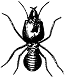 Termite-1